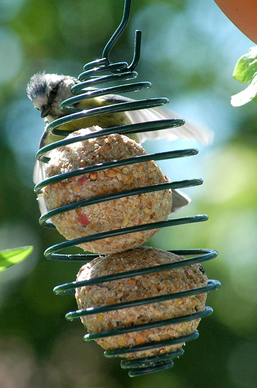 dobar® Fat Ball Holder - Spiral for Wild Birds - Metal Bird Feeder for Garden/Patio/Balcony - Diameter 7.5 x 11 (26.5) cm - Green - Image 4