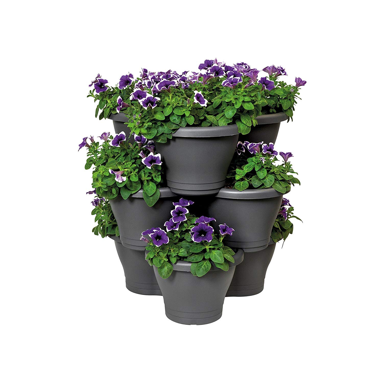 Sistema 1110ZS Microwave Rice Cooker 2.6 L Dishwasher Safe Small