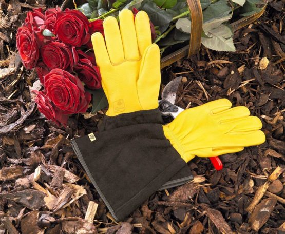 Gold Leaf Tough Touch Gloves - Gents - Image 4