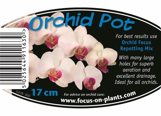 Clear Orchid Pot 17cm - Image 2