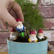 Gift Republic GR450112 Gnomes Plant Pot, Multi-Colour, 8.0 cm*14.0 cm*3.5 cm