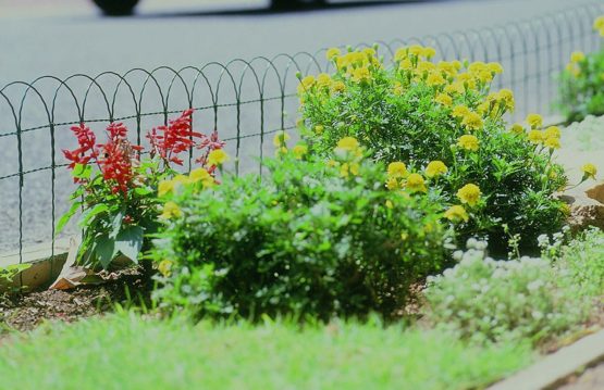 Apollo GF6564 Plastic Coated Borderfence, 10m*400mm - Image 2
