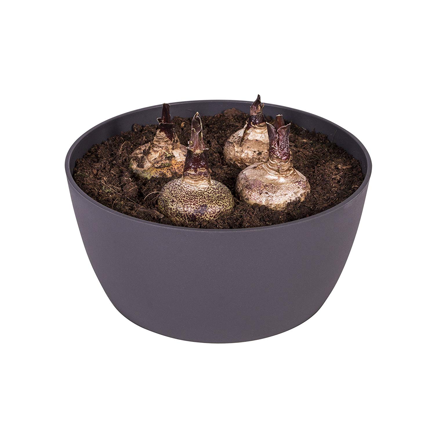 elho Brussels Bowl 23 - Flower Pot for Indoor - 100% Recycled Plastic - Ø 22.9 x H 10.8 cm - Black/Anthracite - Image 3