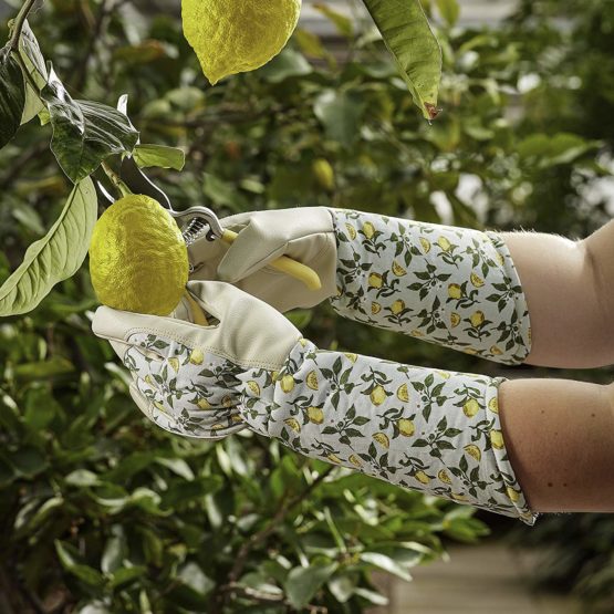 Ladies Sicilian Lemon Gauntlet Gloves - Image 2