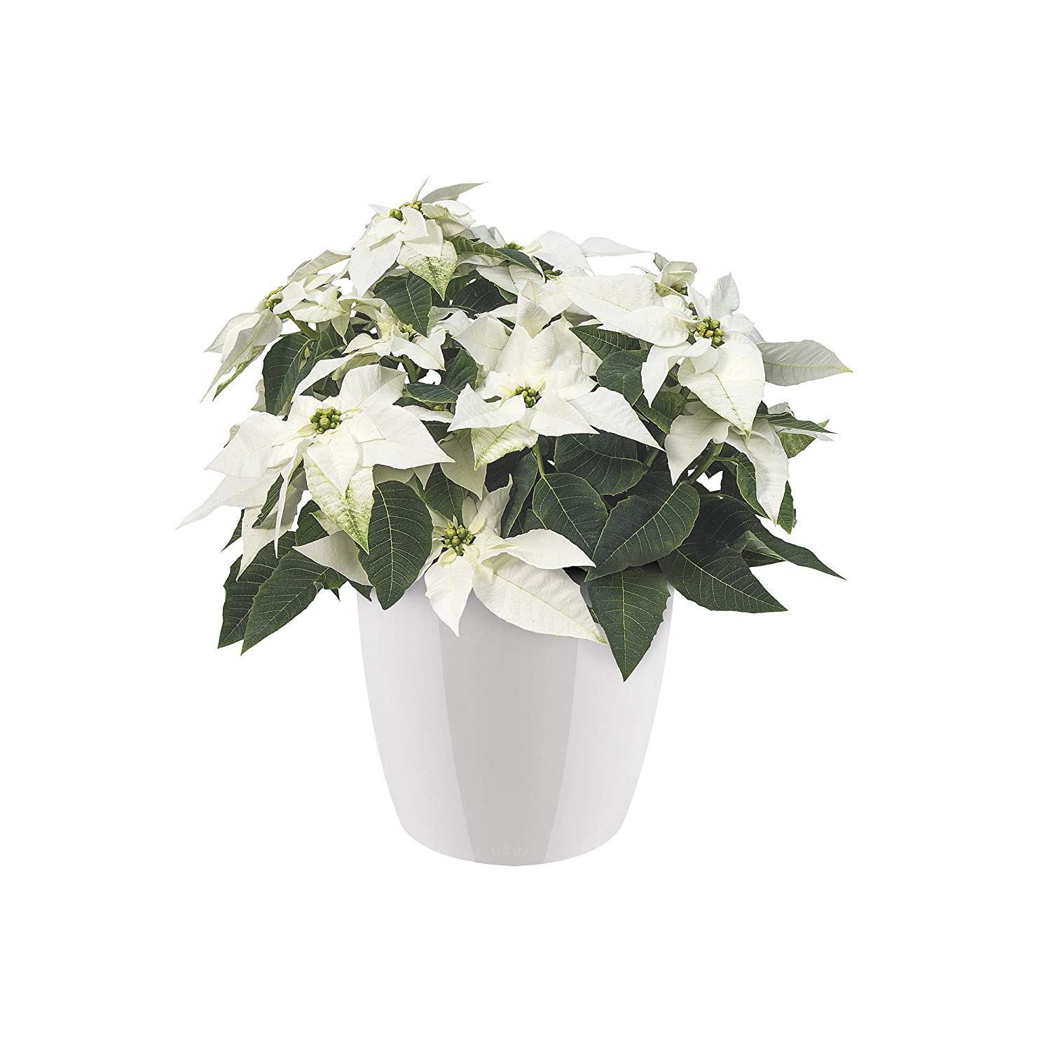 elho Brussels Diamond Round 25 - Flower Pot Indoor - 100% Recycled Plastic - Ø 25.2 x H 23.0 cm - White/White