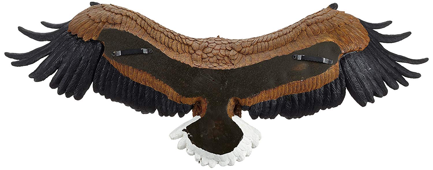 Design Toscano DB43006 Freedom's Pride American Bald Eagle Patriotic Wall Sculpture, Large 78.75 cm, Polyresin, Full Color - Image 3