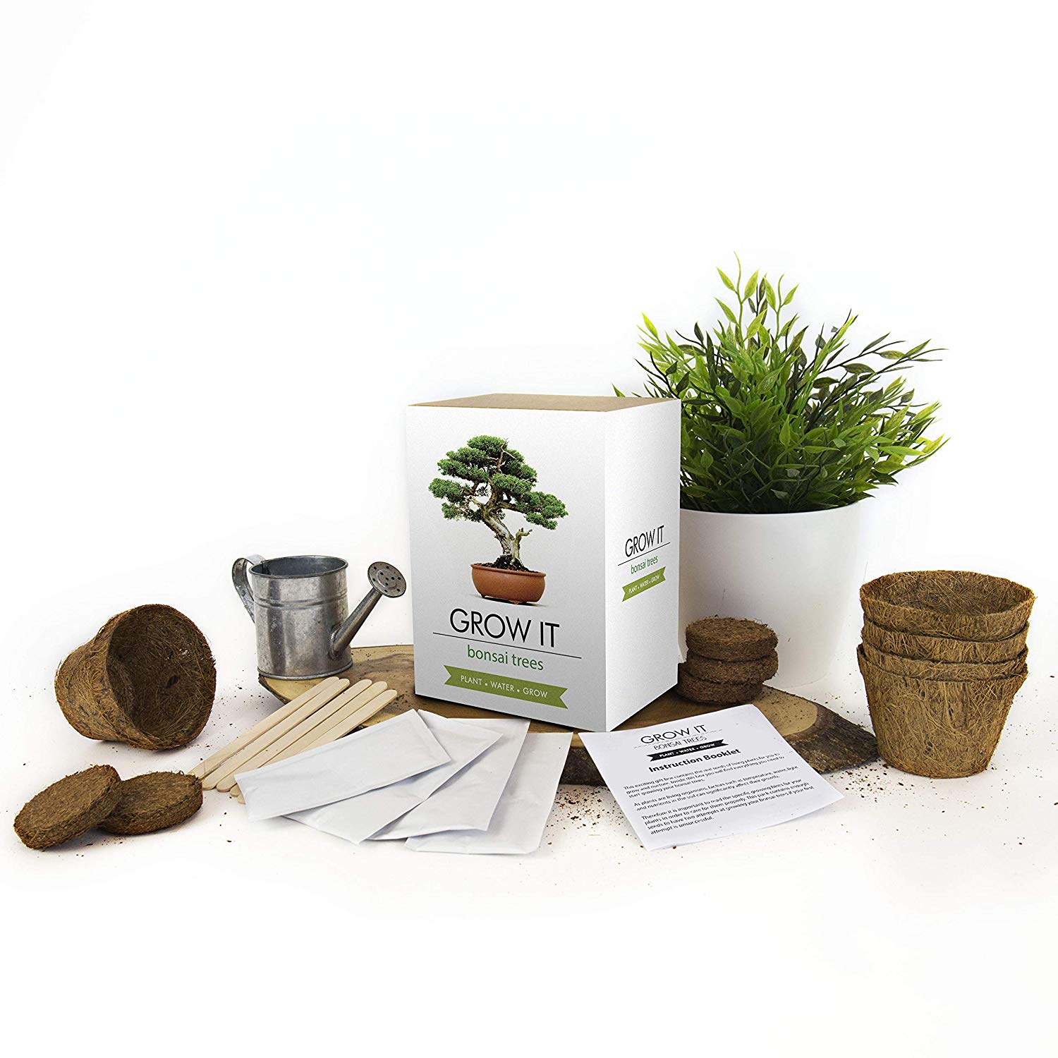 Gift Republic GR200006 : Grow It. Grow Your Own Bonsai Trees, 12.0 cm*12.0 cm*12.0 cm - Image 2