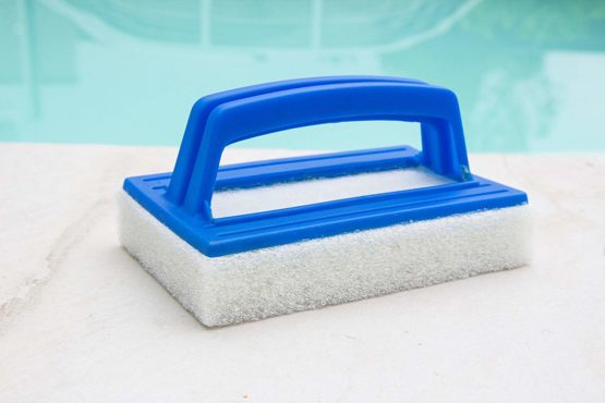 Steinbach removing leaves from swimming pools Scrubbing Brush with Handle deluxe Blue 145 x 85 x 25 MM - Image 2