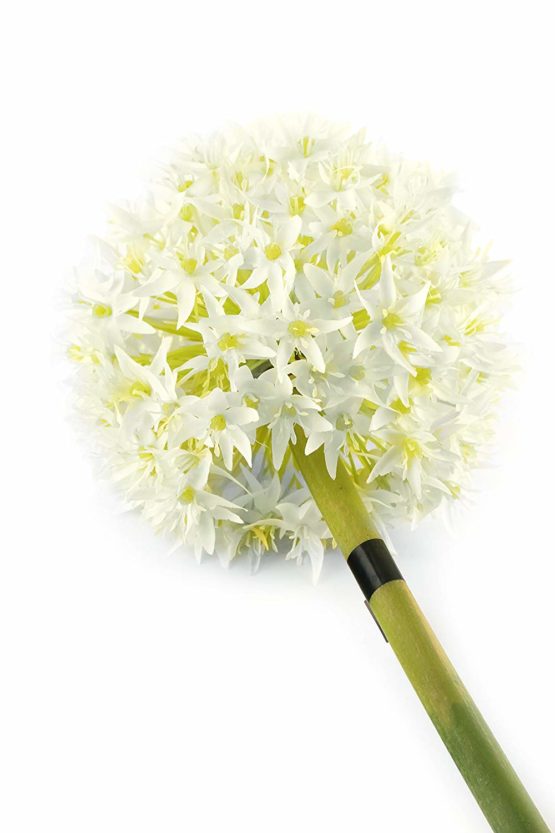 Floral Elegance Artificial 89cm Single Stem White Allium Flower - Image 2