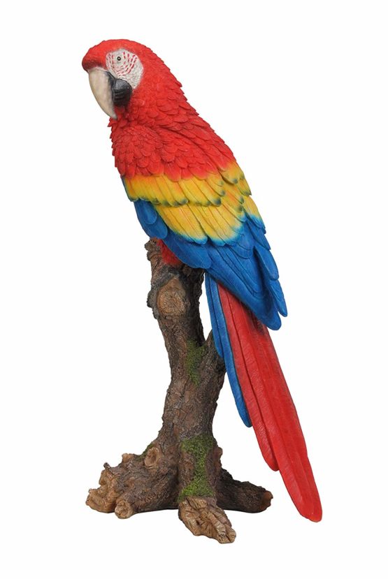 Vivid Arts XRL-MCW5-B Macaw Perched on Tree Stump - Red