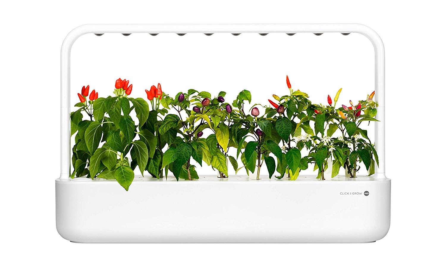Click and Grow Smart Garden Chili Pepper Plant Pods, White, 3-pack ...