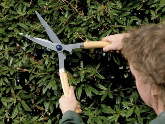 Spear and Jackson 4868SS/09 Razorsharp Wooden Handled Shears, Wood(light brown) - Image 2