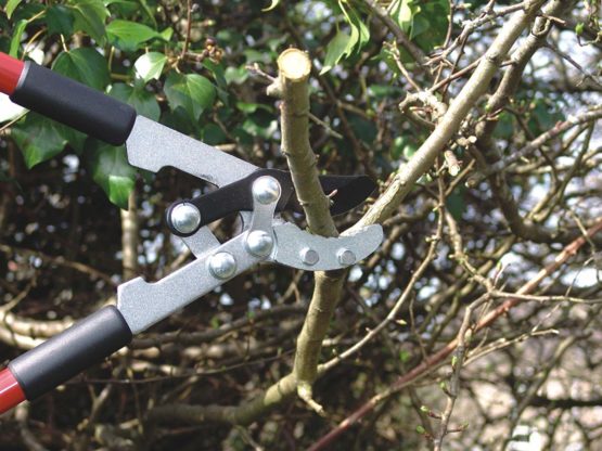 Carl Kammerling International Limited C.k 5014 Maxima Telescopic Lopper - Image 2
