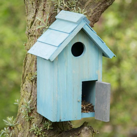 Relaxdays Nesting Box, Bird House, Wooden, Door, Small Entrance, Songbirds, HxWxD: 24.3 x 17 x 12 cm, Blue - Image 2