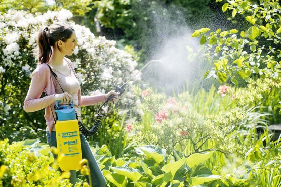 GLORIA Prima 5 Comfort Pressure Sprayer | Garden Sprayer | 5 L Filling Capacity | Comfortable Equipment | 2.5 M Spiral Hose | Compressor Connection - Image 3
