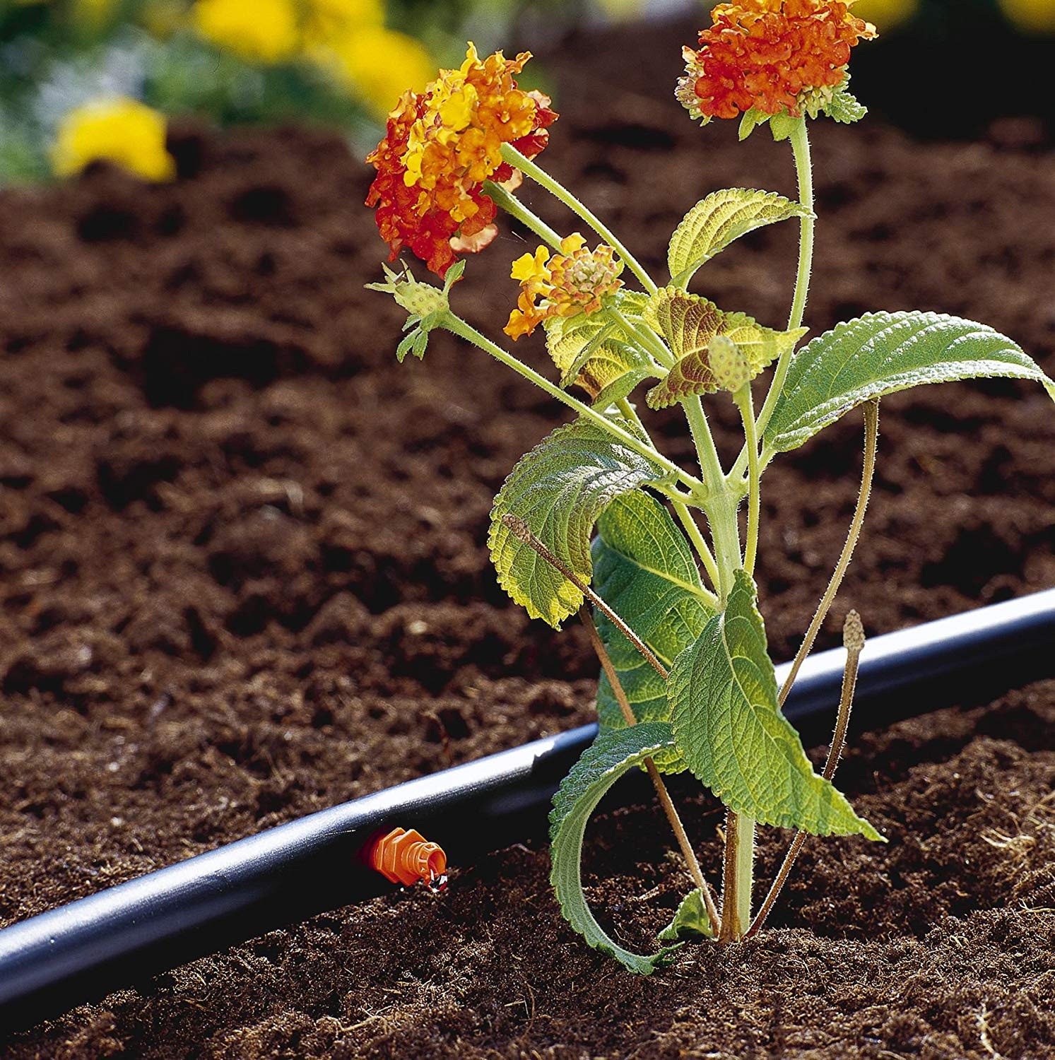 GARDENA Micro-Drip System Supply Pipe: Flexible supply pipe, 4.6 mm (3/16"), can be laid above or below ground, UV-stabilised - Image 2