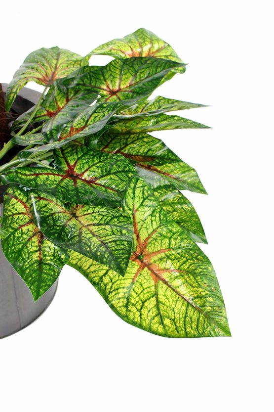Closer2Nature Artificial 30cm Variegated Arrowhead Vine Plug Plant - Image 2