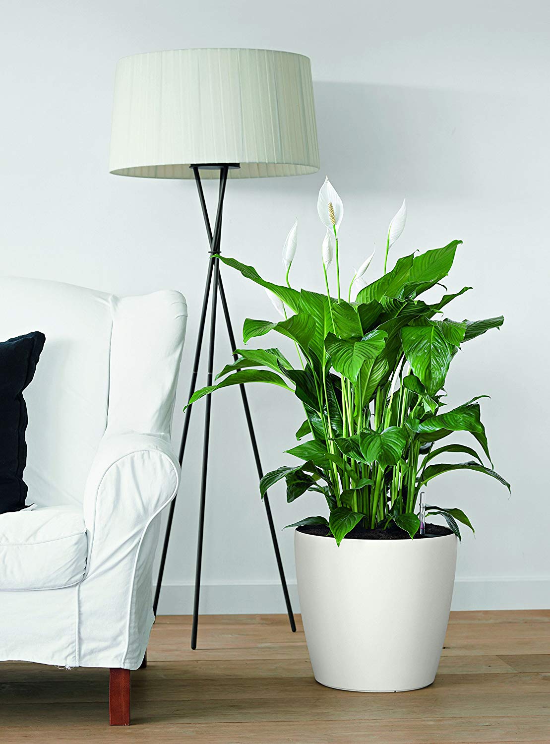 LECHUZA CLASSICO Color 28 Self Watering Planter Plastic Indoor and Outdoor Flower Plant Pot with Drainage Hole D28 H26 cm White - Image 3