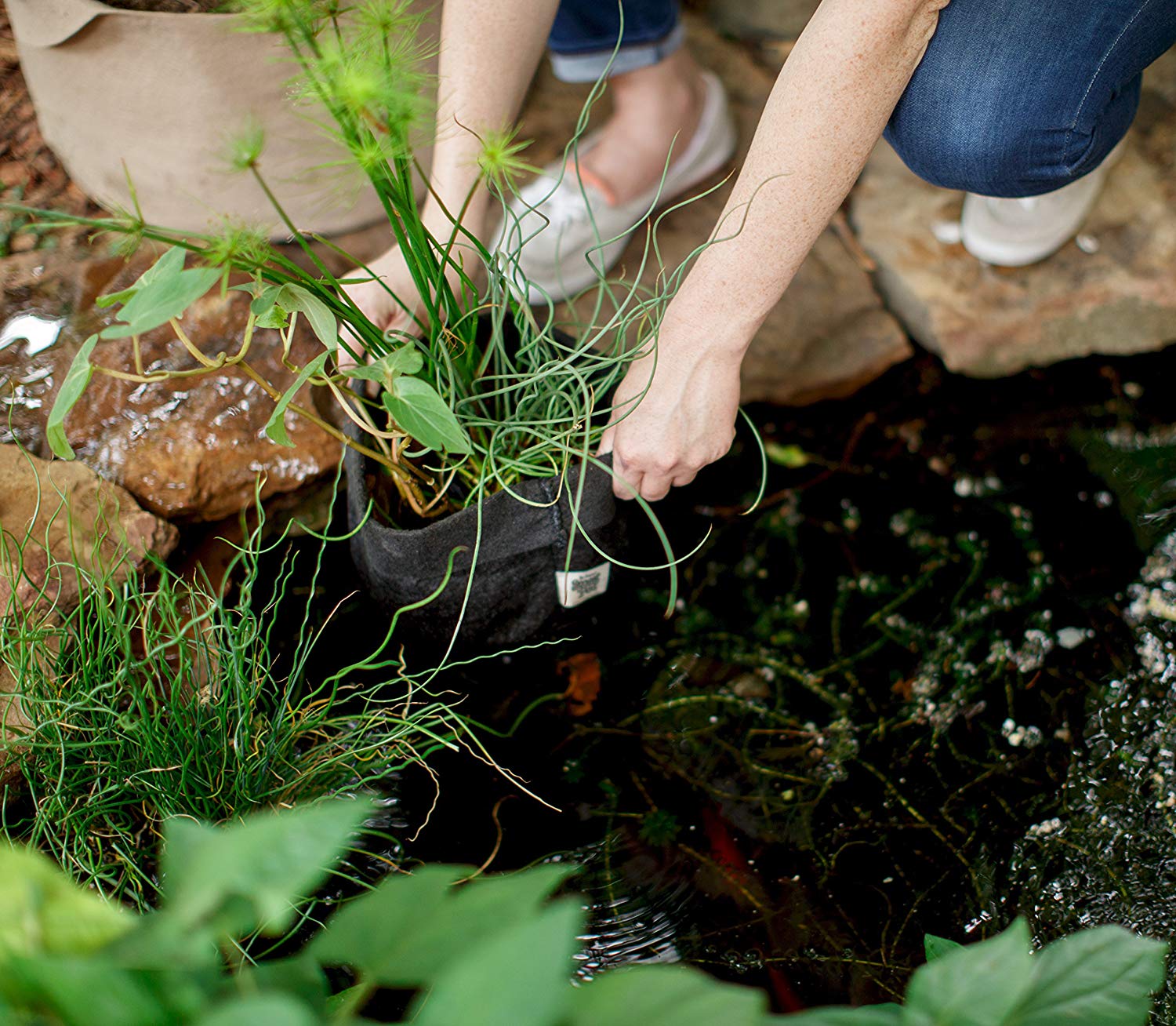 Smart Pots Pond Flexible Aquatic Plant Container for Water Gardening