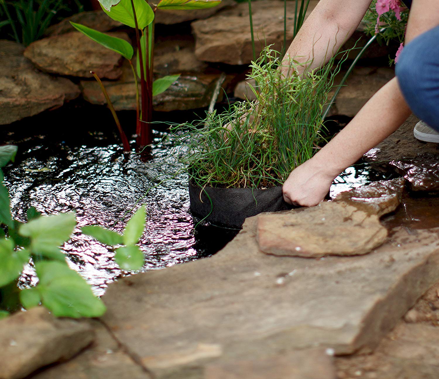 Smart Pots Pond Flexible Aquatic Plant Container for Water Gardening ...