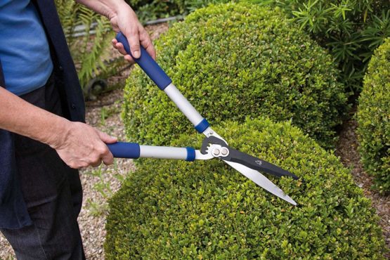 Spear and Jackson 8170RS/11 Razorsharp Geared Hedge Shears, Silver/Blue - Image 2