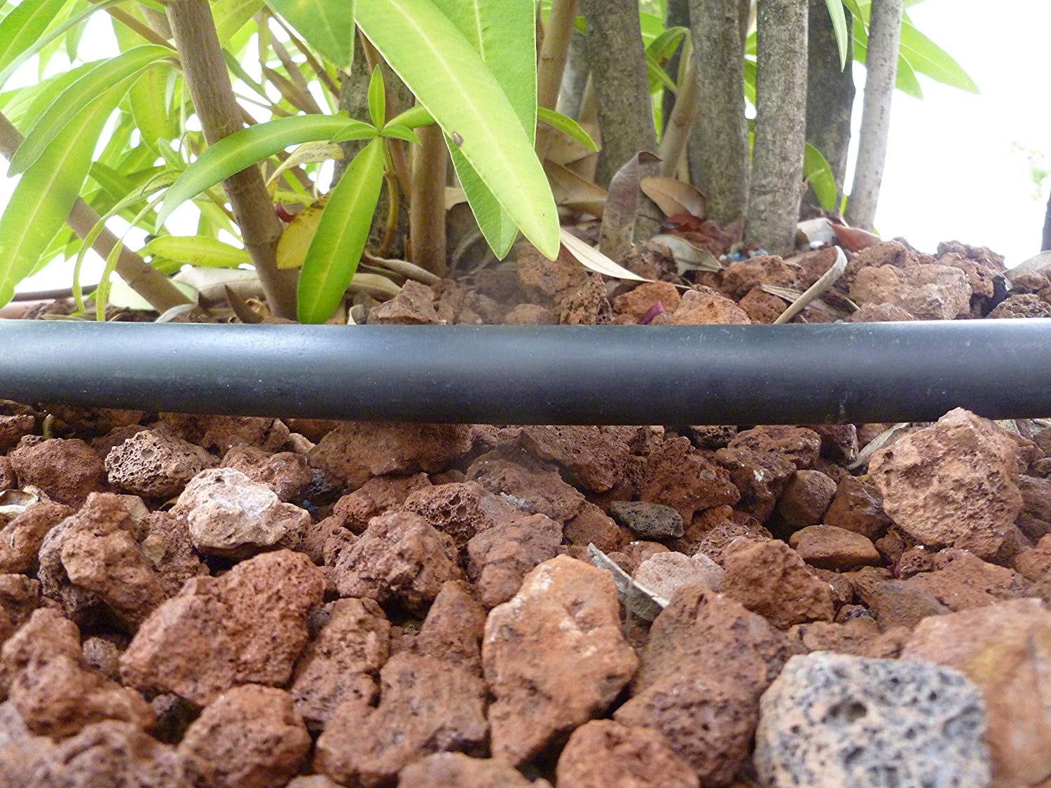 S&M 010026 – Drip Pipe, 12 mm x 50 m, Black - Image 2
