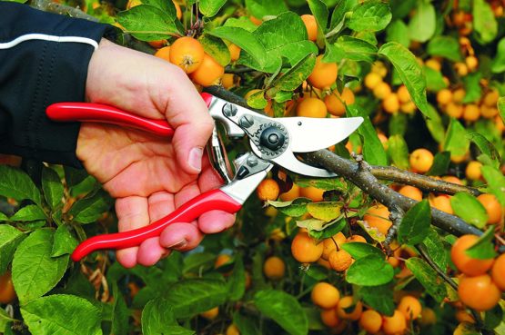 FELCO Model 9 Secateurs (Large, Left-Handed) - Image 2