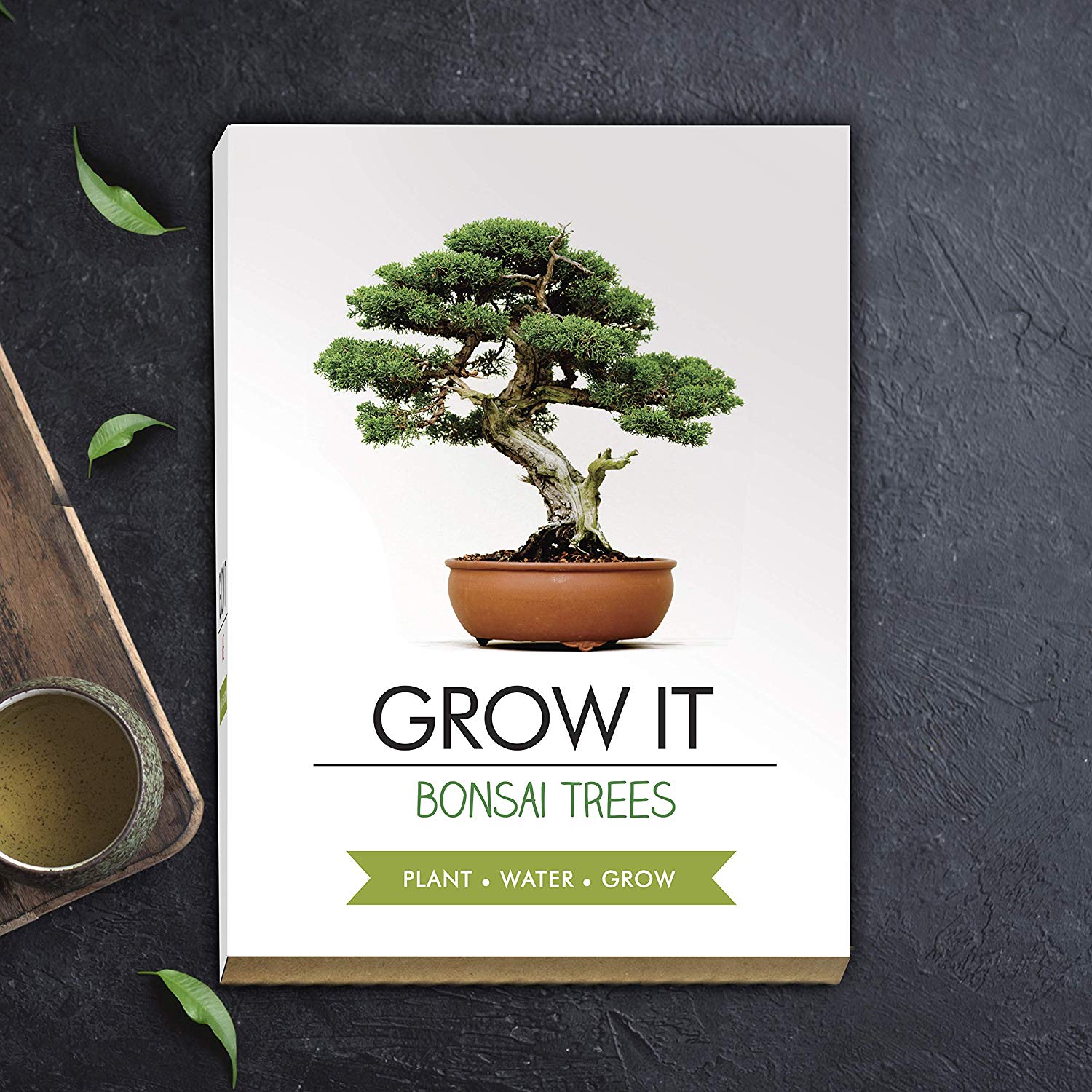 Gift Republic GR200006 : Grow It. Grow Your Own Bonsai Trees, 12.0 cm*12.0 cm*12.0 cm