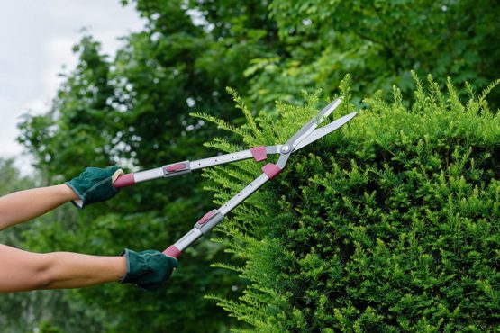 Kent and Stowe 70100416 70100421 Telescopic Hedge Shear, Black - Image 2