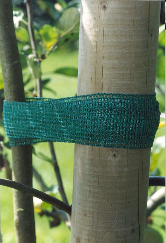 Connex Tree tie | Plant care | Plant tie | Plant support | Gardening | FLOR78731 - Image 2