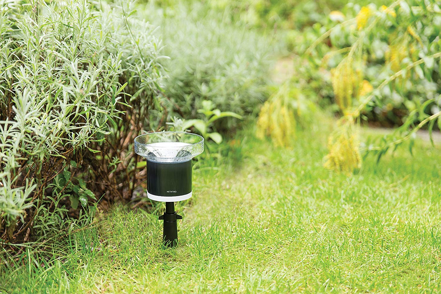 Netatmo Rain Gauge for Weather Station, NRG01-WW, Accessory - Image 2