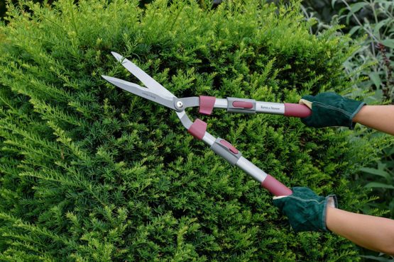 Kent and Stowe 70100416 70100421 Telescopic Hedge Shear, Black - Image 3