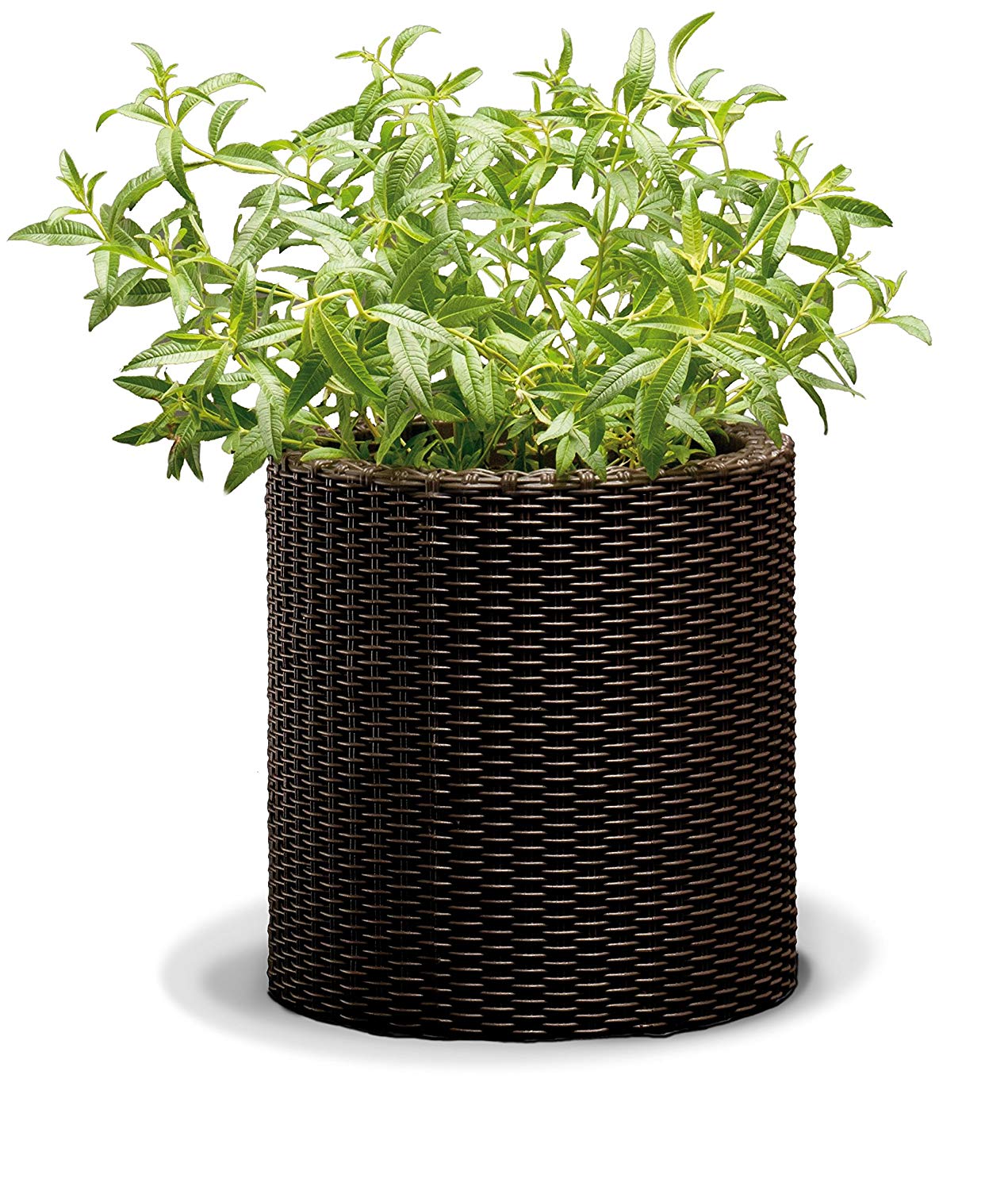 Keter - Large Round Base Planter, 39 Litres, Chocolate Brown