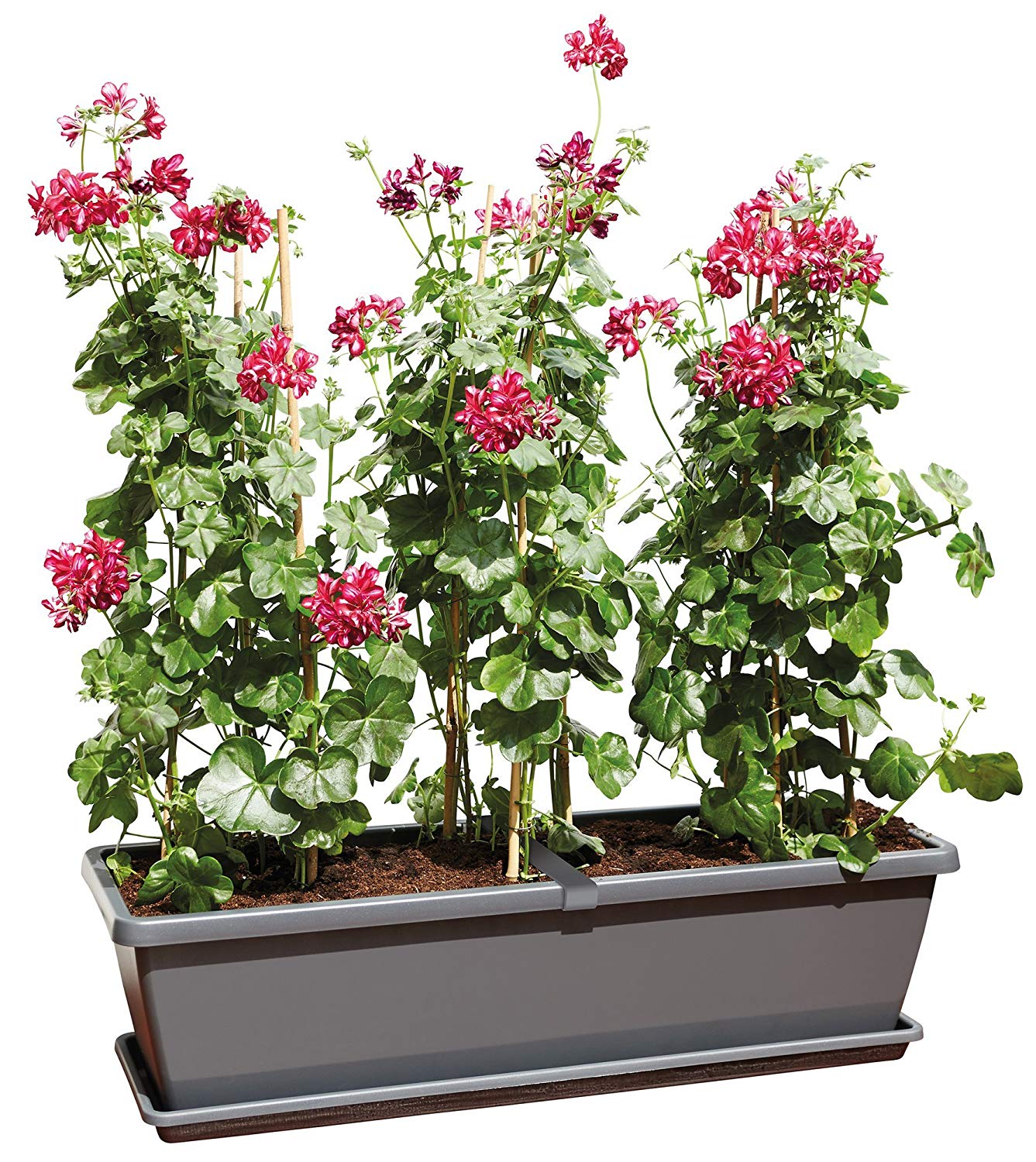 elho Barcelona Xl 80 - Planter for Balcony & Outdoor - diameter 77.8 x H 20.3 cm - Black/Anthracite, 80 cm - Image 3