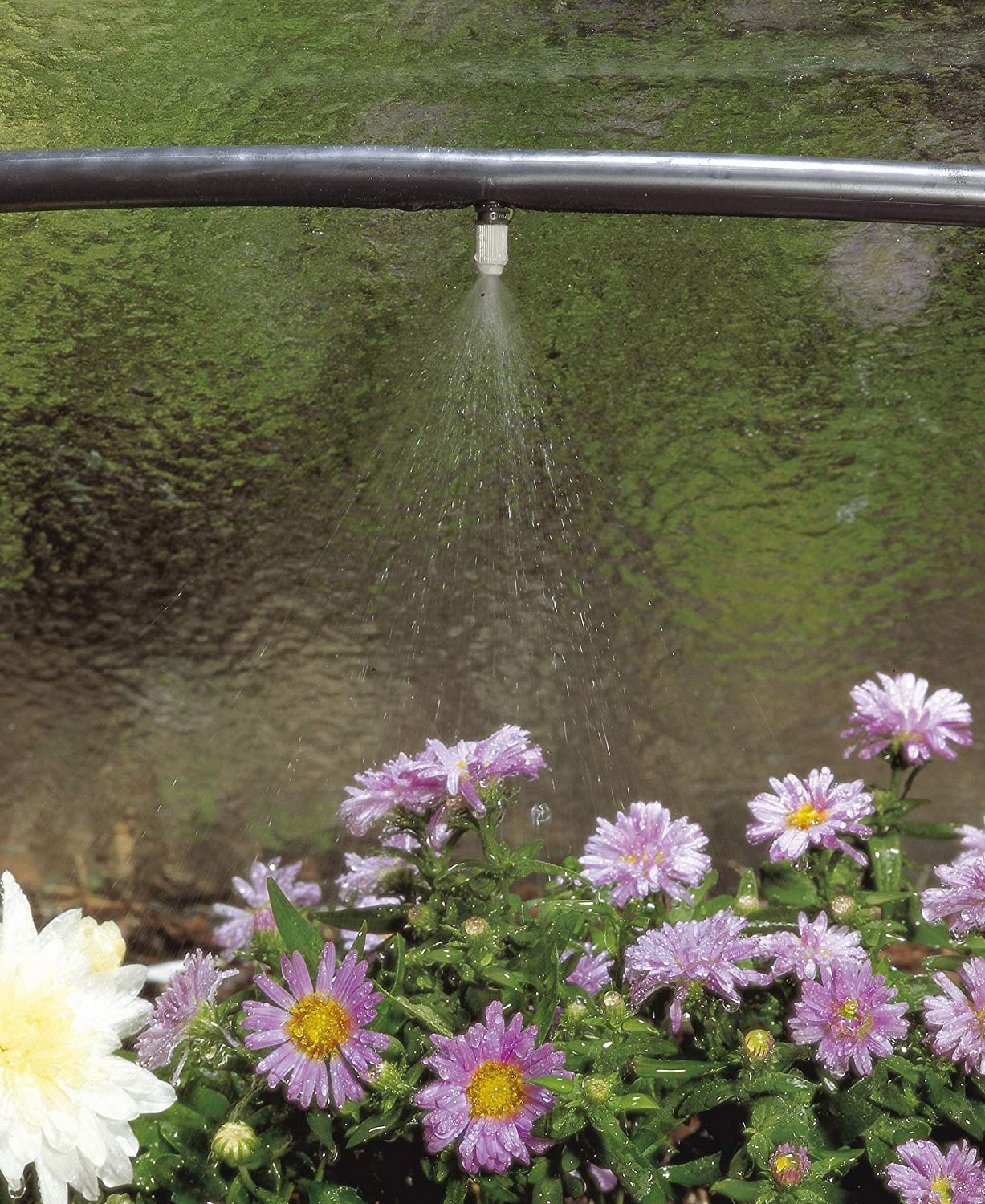 GARDENA Micro-Drip System Supply Pipe: Flexible supply pipe, 4.6 mm (3/16"), can be laid above or below ground, UV-stabilised - Image 3