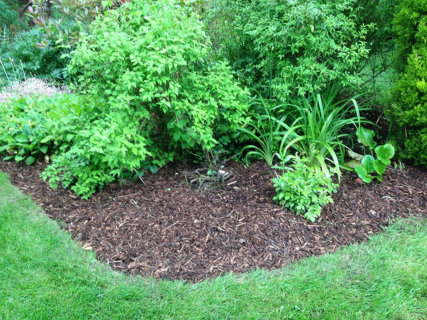 Melcourt 60 Litre Bag of Melcourts Spruce Ornamanetal Bark Mulch - New Bag Size! - Image 2
