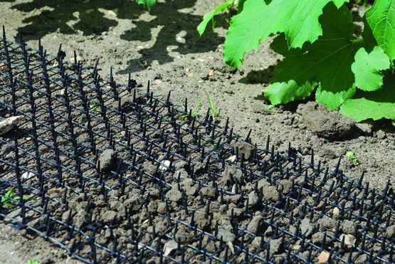 Defenders STV628M Prickle Strip Dig Stopper, Cat & Dog Repellent 28 cm x 2 m, Black 3-Pack - Image 2