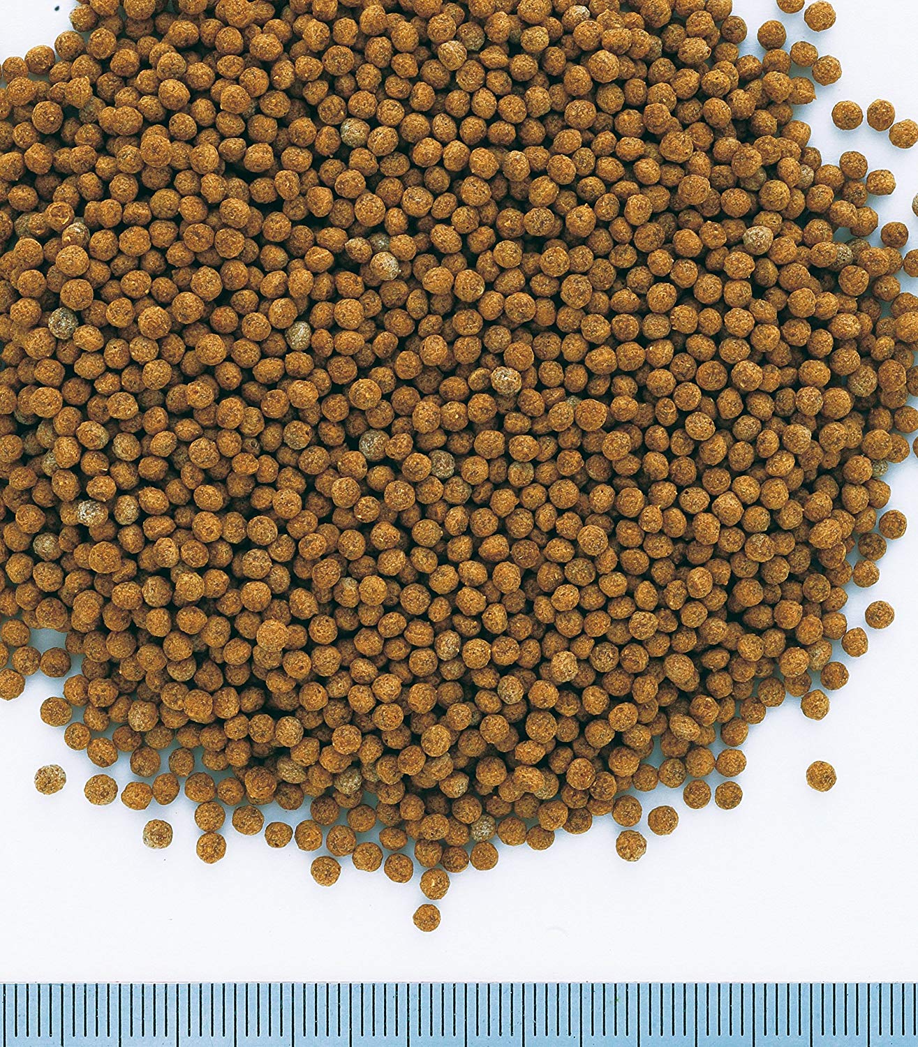 Tetra Goldfish Complete Floating Granules for Goldfish/Cold Water Fish, Multi-Colour, 500ml - Image 3