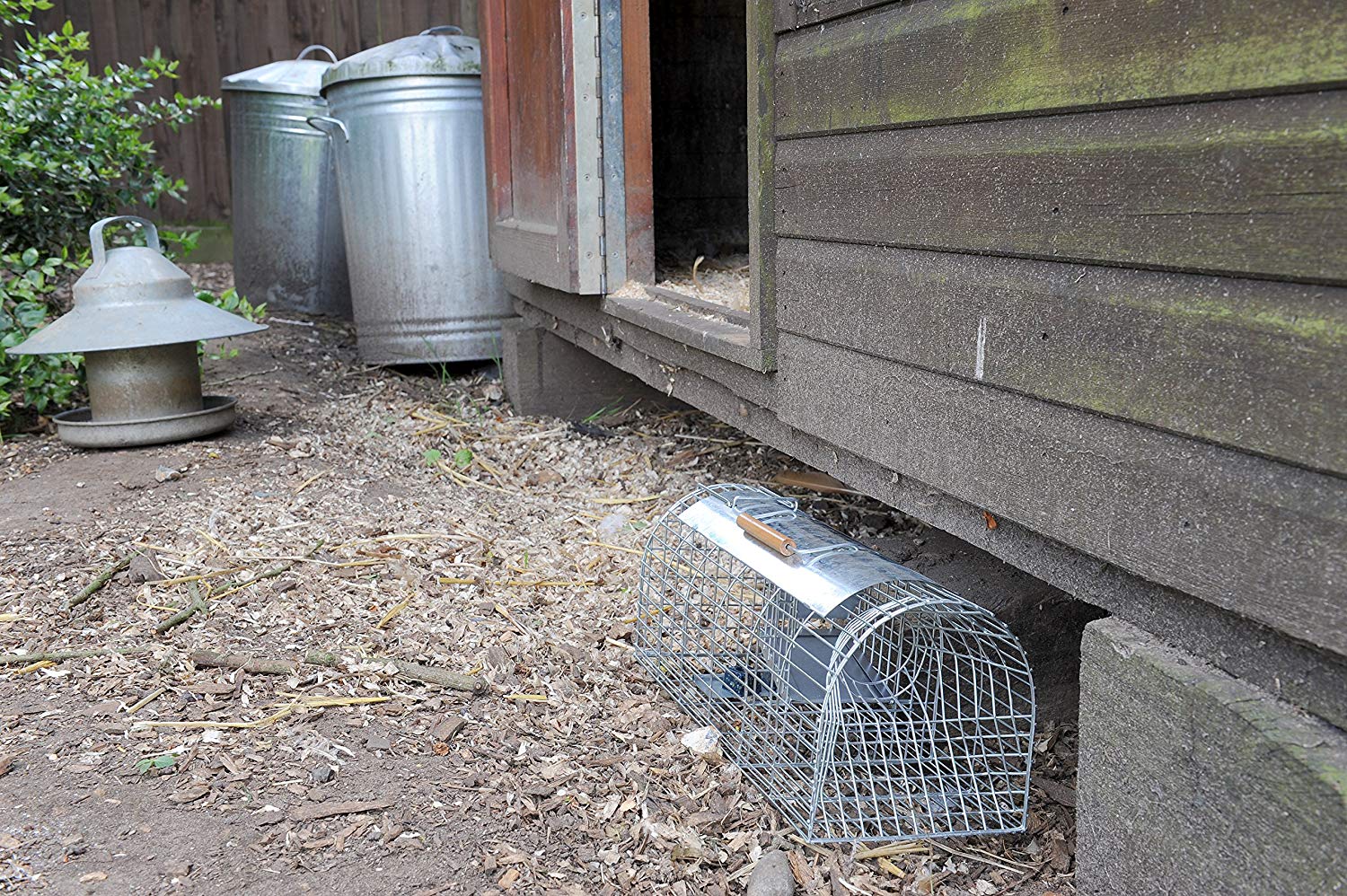 The Big Cheese Free to Go Multi-Catch Rat Cage Trap Poison-Free Welfare Friendly British Grain Safe Around Children and Pets Monitor Infestations Self-Setting - Image 4