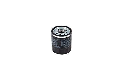 Oil Filter Engine Oil Filter Diameter 66 mm P.f. Briggs & Stratton 692513