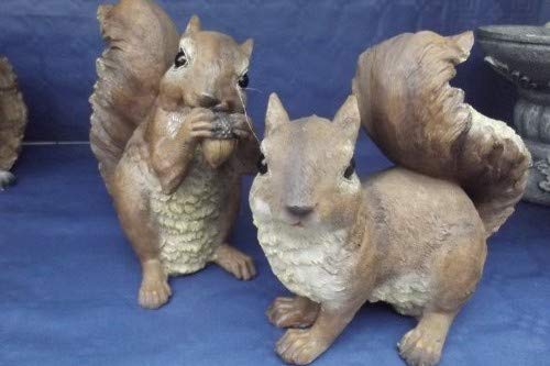 Design Toscano QM188731 Chomper the Woodland Squirrel Outdoor Garden Statue, Polyresin, 18 cm - Image 2
