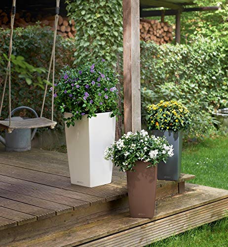 Lechuza CUBICO Color 22 Self Watering Planter Garden Plastic Indoor and Outdoor Flower Plant Pot with Drainage Hole H41 L22 W22 cm Nutmeg - Image 4