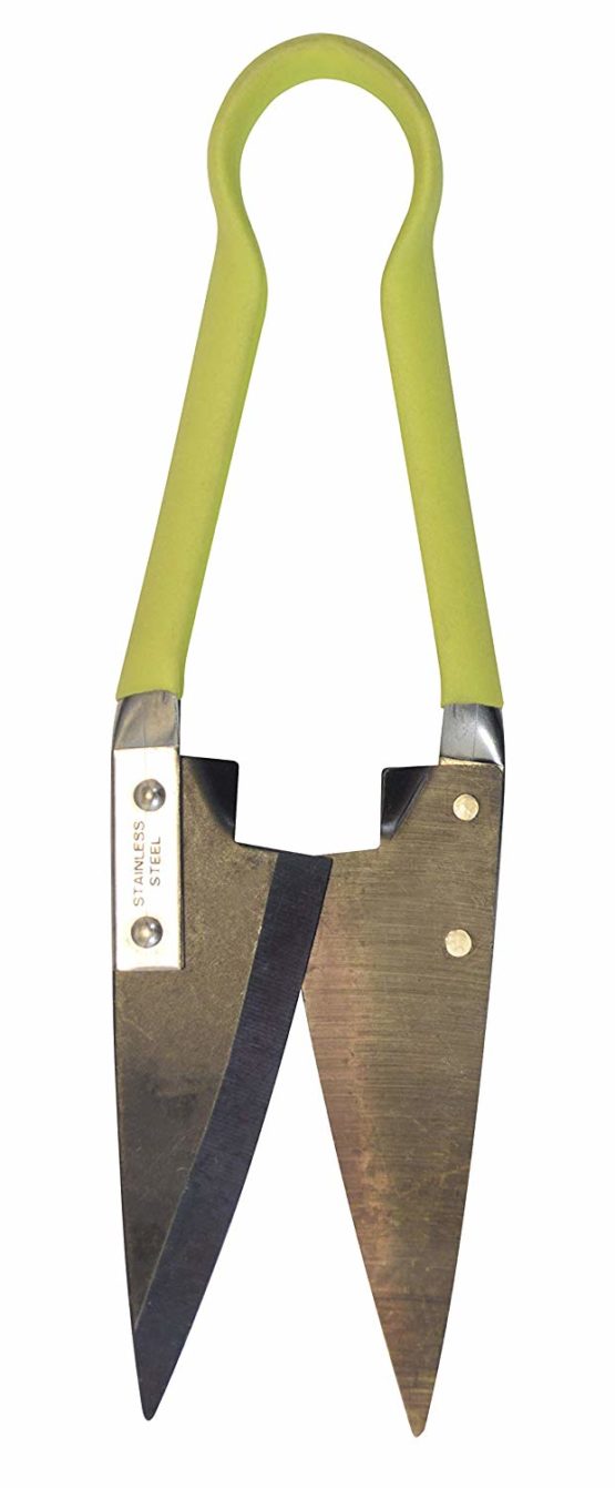 Spear & Jackson 4755KEW Kew Gardens Collection Compact Topiary Shears, Green