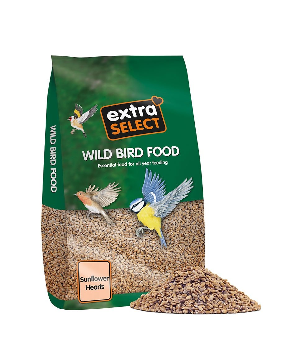 Extra Select Sunflower Hearts Bird Food 20kg - Husk-Free, Bakery Grade, Premium Wild Bird Seed, white, 20 kg (Pack of 1)