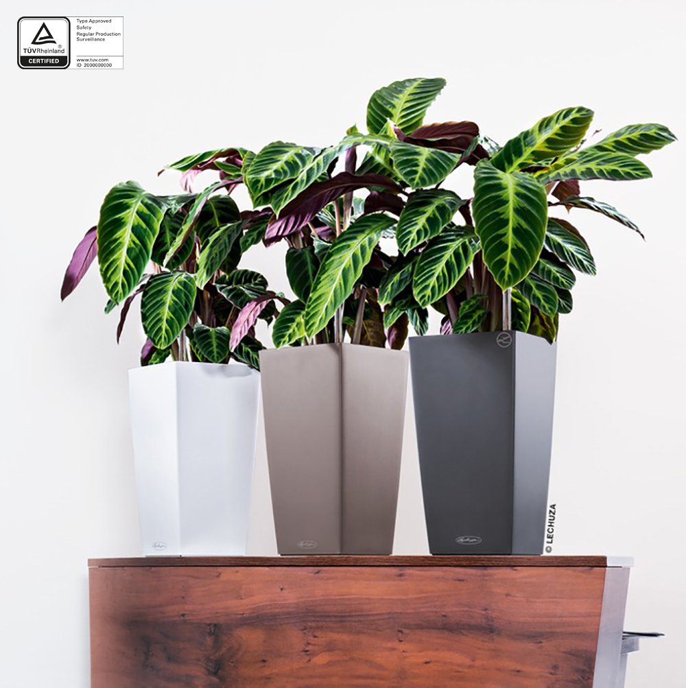 Lechuza CUBICO Color 22 Self Watering Planter Garden Plastic Indoor and Outdoor Flower Plant Pot with Drainage Hole H41 L22 W22 cm Nutmeg - Image 3