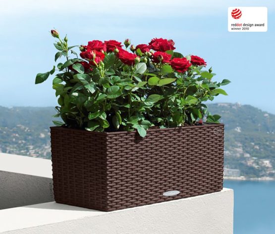 Lechuza BALCONERA Cottage 50 Self Watering Planter Indoor/Outdoor Flower Plant Pot Table and Window Box with Drainage Hole and Plant Substrate Poly-Resin H19 L50 W19 cm Mocha - Image 3