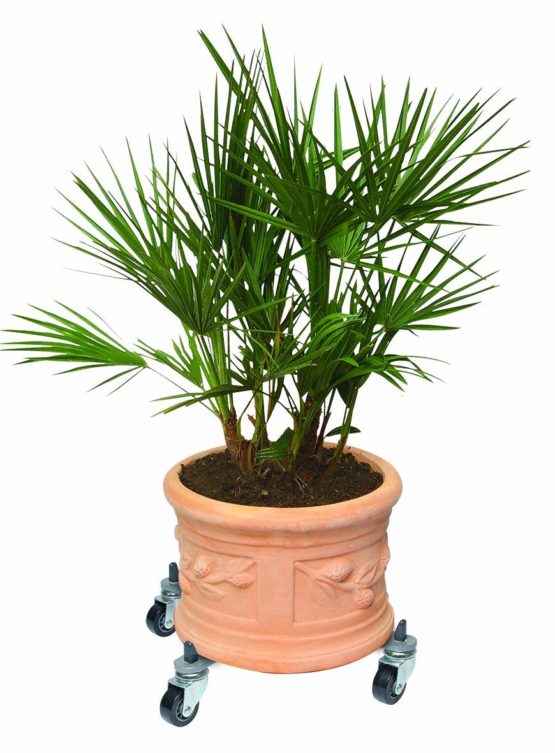 Wagner Sun City 20082701 Multi-Purpose Roller Basic, Extendable 32 - 47cm - Image 2
