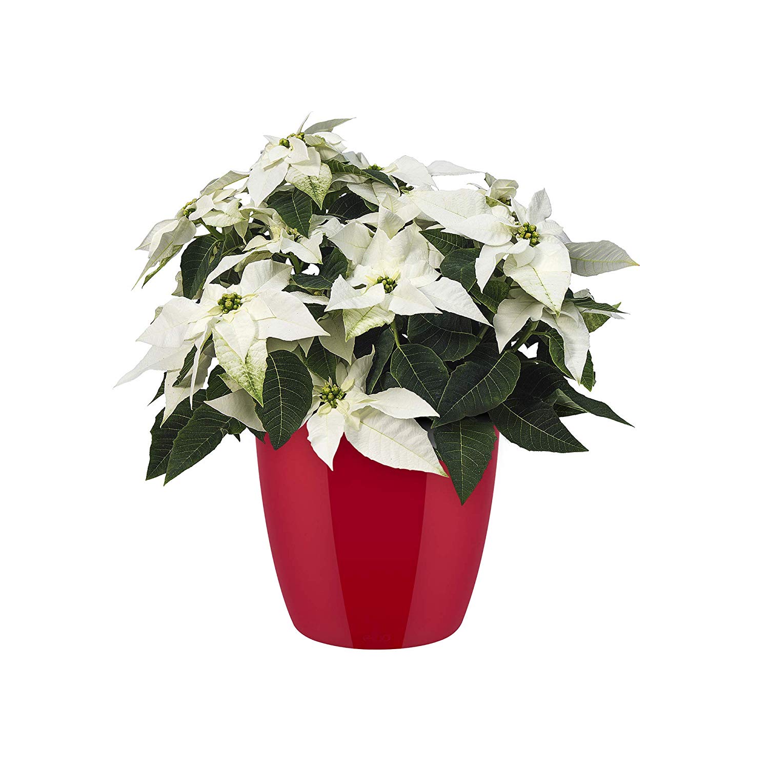 elho Brussels Diamond Round 30 - Flower Pot Indoor - 100% Recycled Plastic - Ø 29.4 x H 27.0 cm - Red/Lovely Red - Image 3