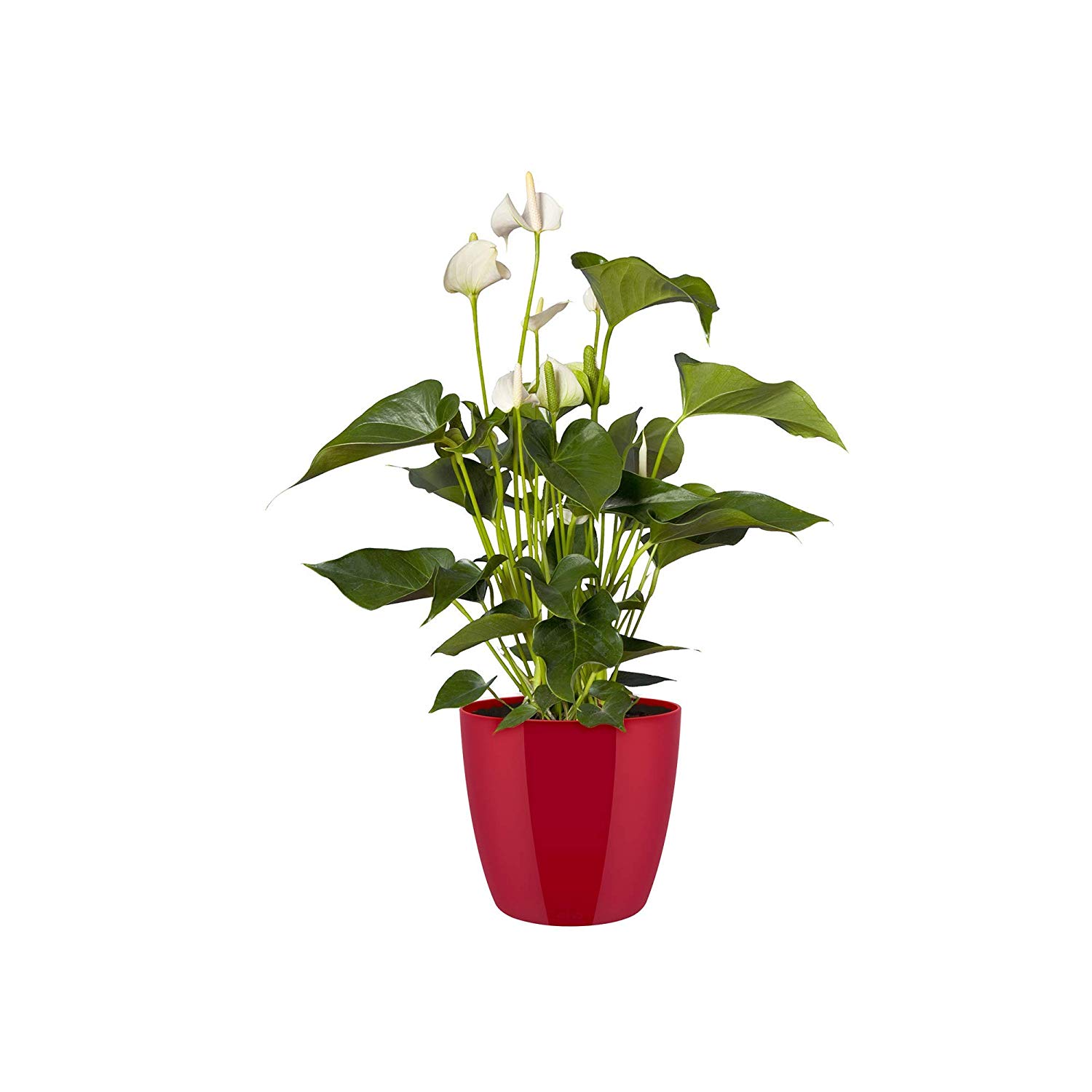 elho Brussels Diamond Round 30 - Flower Pot Indoor - 100% Recycled Plastic - Ø 29.4 x H 27.0 cm - Red/Lovely Red