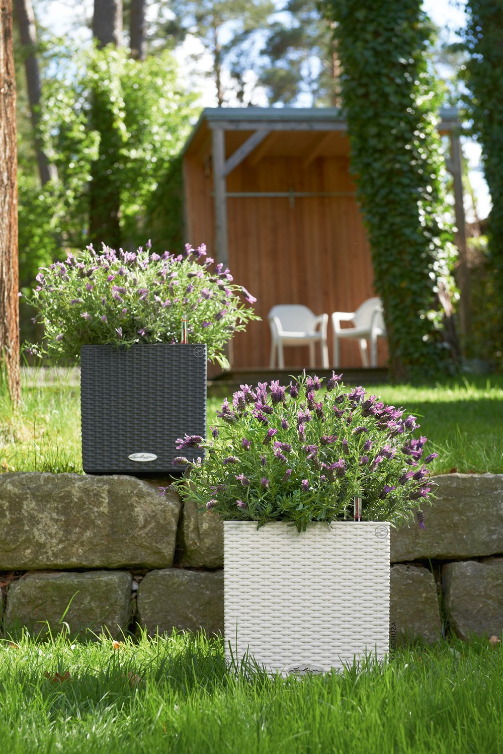 Lechuza Self Watering Plant Pots CUBE Cottage 30 Rattan Look Plastic Garden Outdoor Indoor Planter with Drainage Hole H30 L30 W30 cm Granite - Image 3